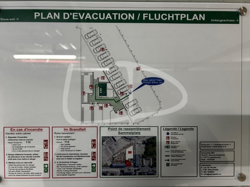 WhatsApp Image 2026-01-28 at 17.11.23.jpeg